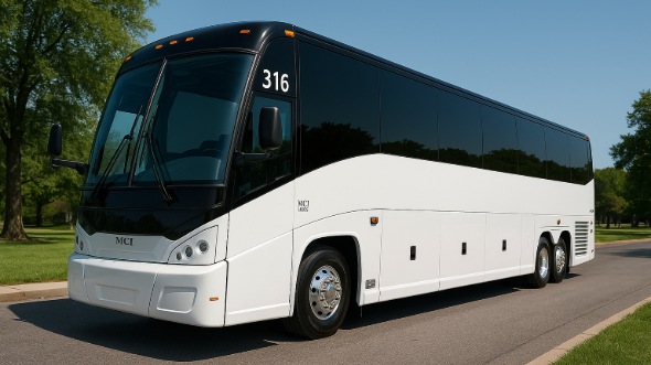 aurora birthday sweet 16 party bus rentals