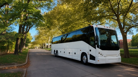 elgin bus rentals for birthday sweet 16